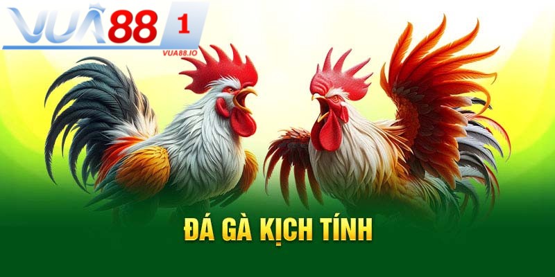 Bí mật đá gà Thomo được khai khá vào đầu thế kỷ 20