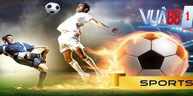 Cá cược thể thao hấp dẫn với cách thức chơi đơn giản.