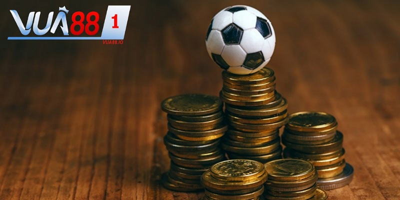 Các sảnh cược chất lượng đẳng cấp hàng đầu.