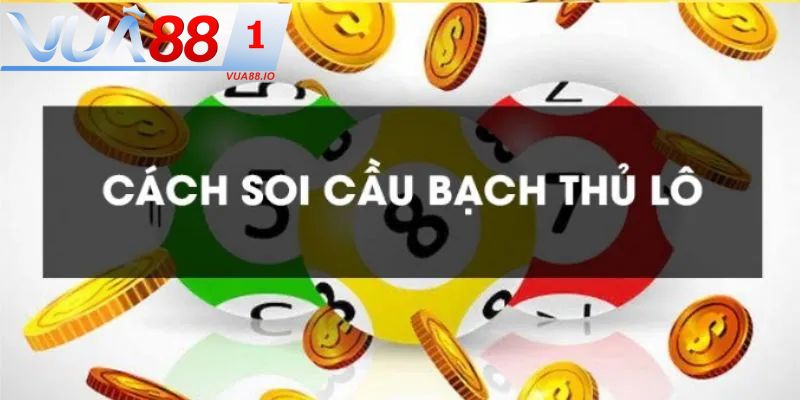 cach soi cau lo bach thu