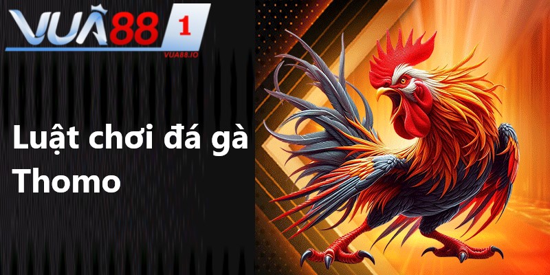 Cần quan tâm đến các chiến thuật đá gà hiệu quả