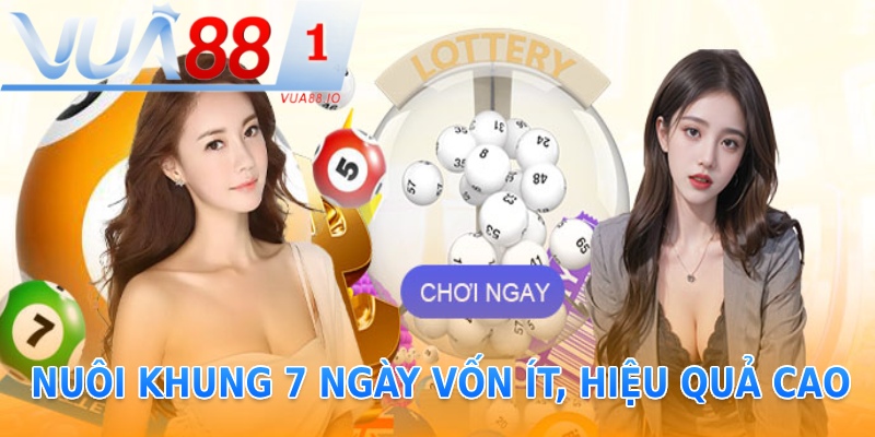 Nuôi khung 7 ngày vốn ít hiệu quả cao