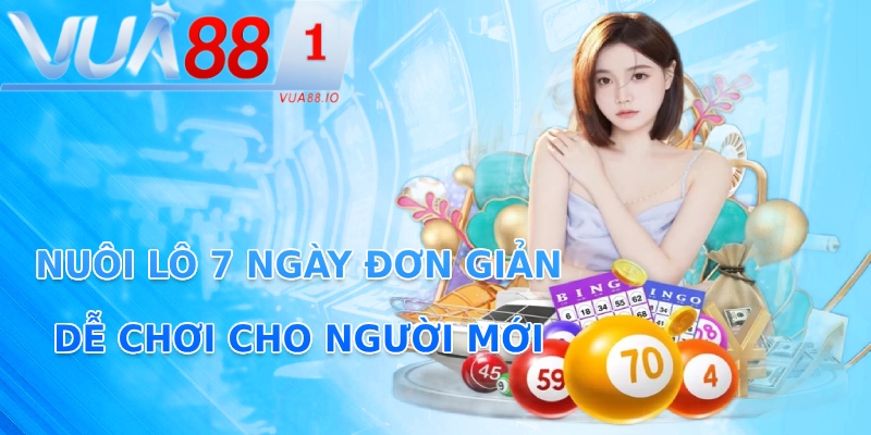 Nuôi lô 7 ngày đơn giản, dễ chơi cho người mới