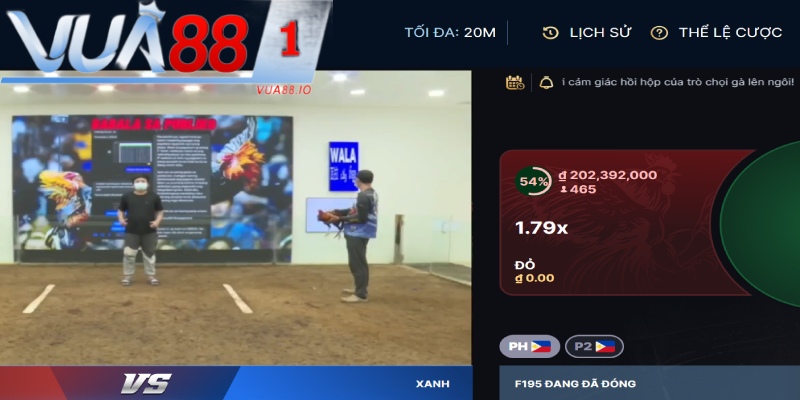 Xem sabong đặt cược tiện lợi tại 2 sảnh gà uy tín Vua88